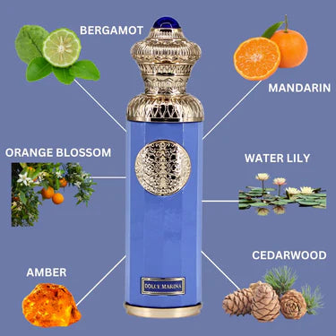 Dolce Marina 140 ml - Heritage Collection Sophisticated Spray - Surrati Perfumes Pakistan