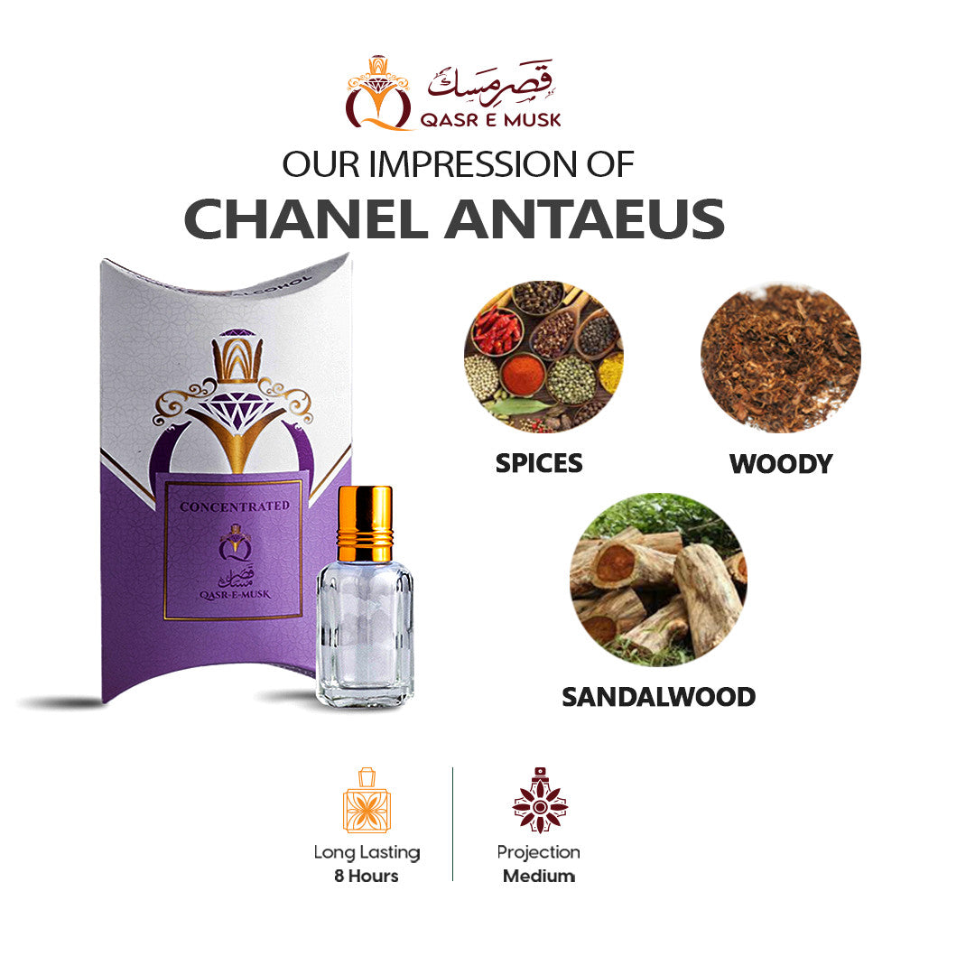 Chanel Antaeus | Affordable Impression