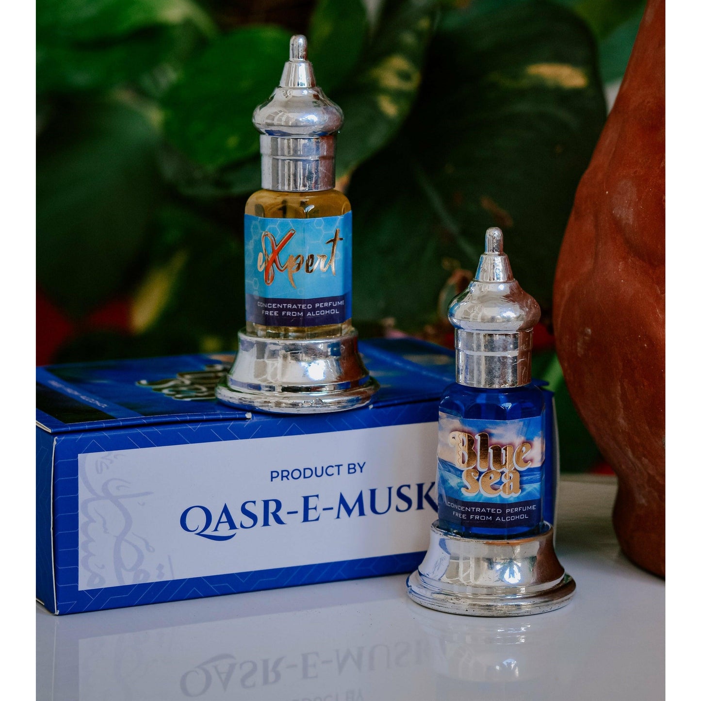 Combo Of Expert And Blue Sea